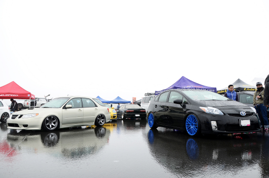 DSC_8484.JPG