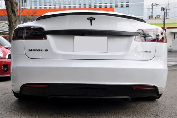 TESLA S