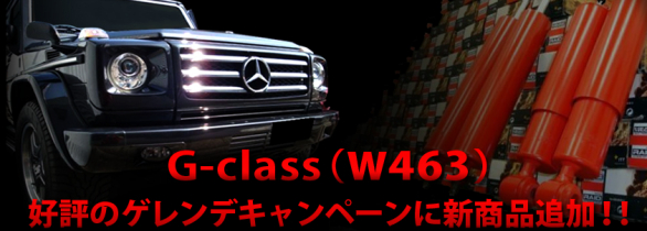 W463 W463