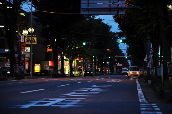 DSC_0492.JPG