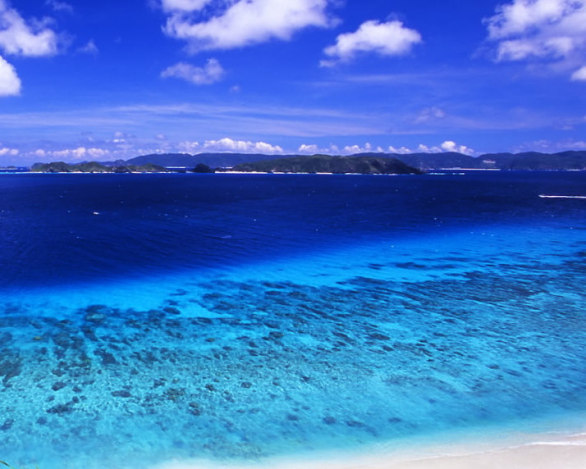 海