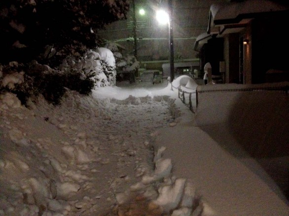 雪 雪
