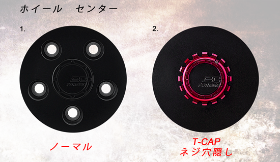 T-CAP-jp.png T-CAP-jp.png