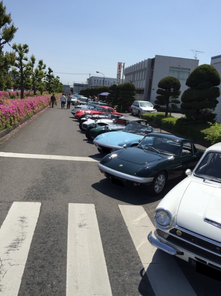 S__4620330.jpg