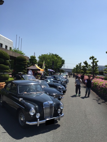 S__4620331.jpg