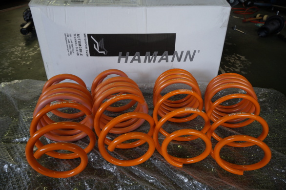 HAMANN スプリング