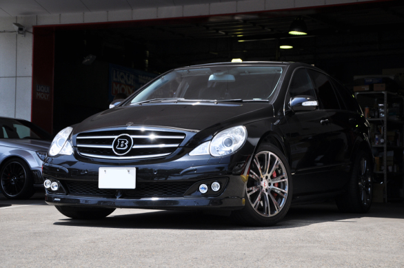 W251 W251