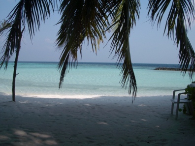 夏 夏