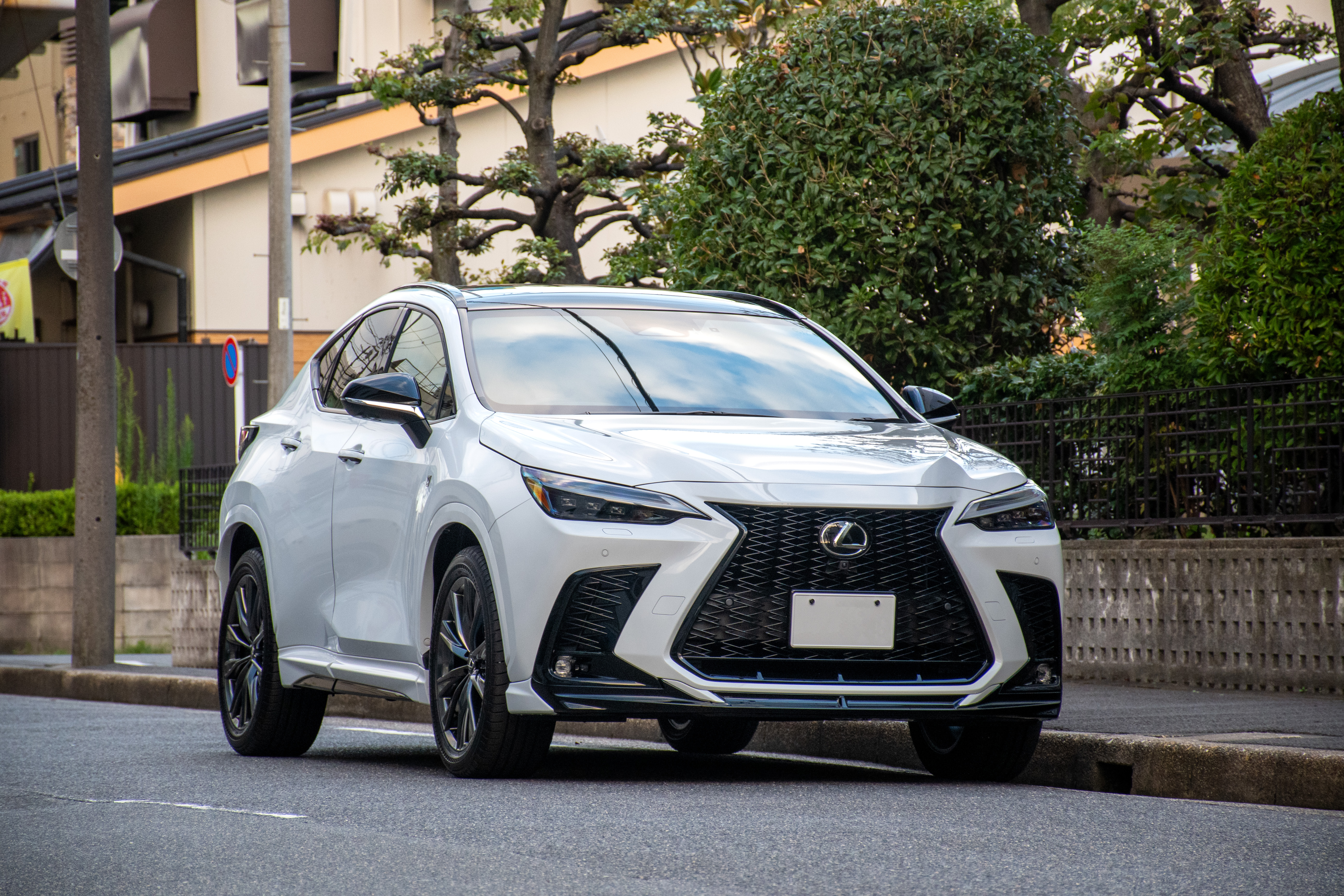 LEXUS NX NX350h TRD エアロ