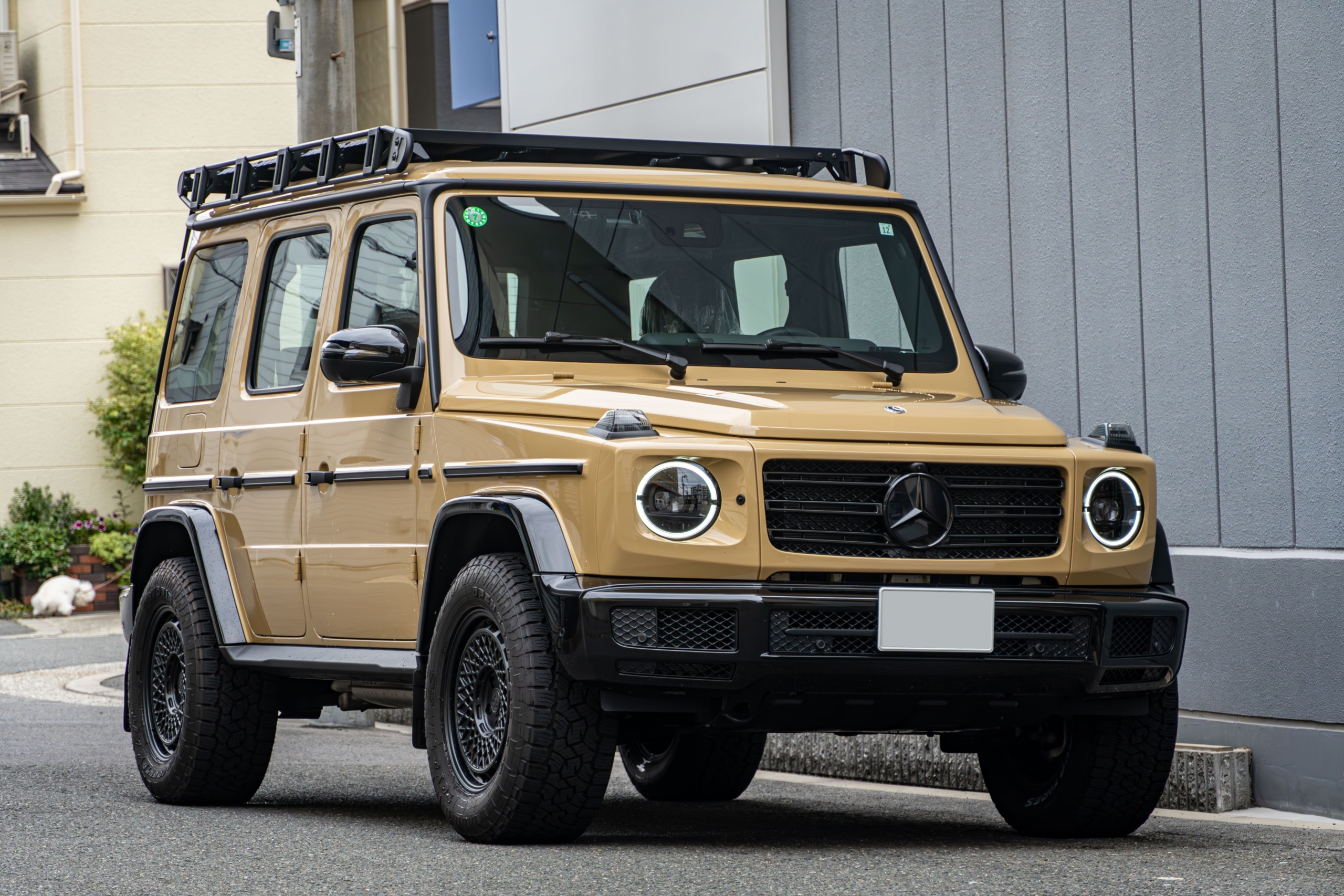 W463A G400d Professional×クリアガラス　ボンド大阪