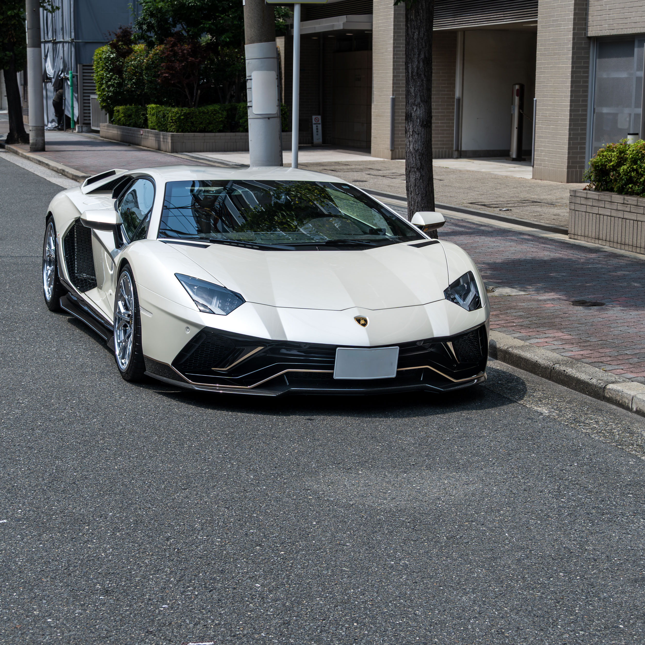 Aventador Ultimae × AL13wheels R140.6