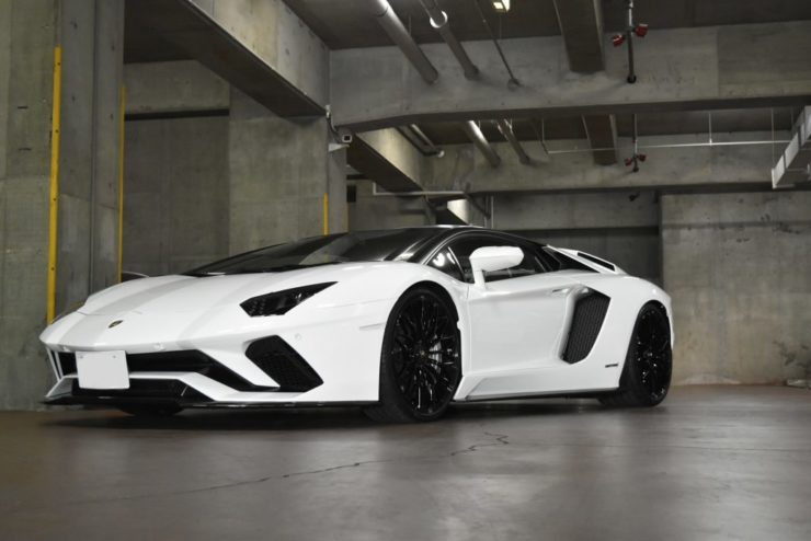 Aventador S カスタム　ローダウン　ロベルタ　リフター