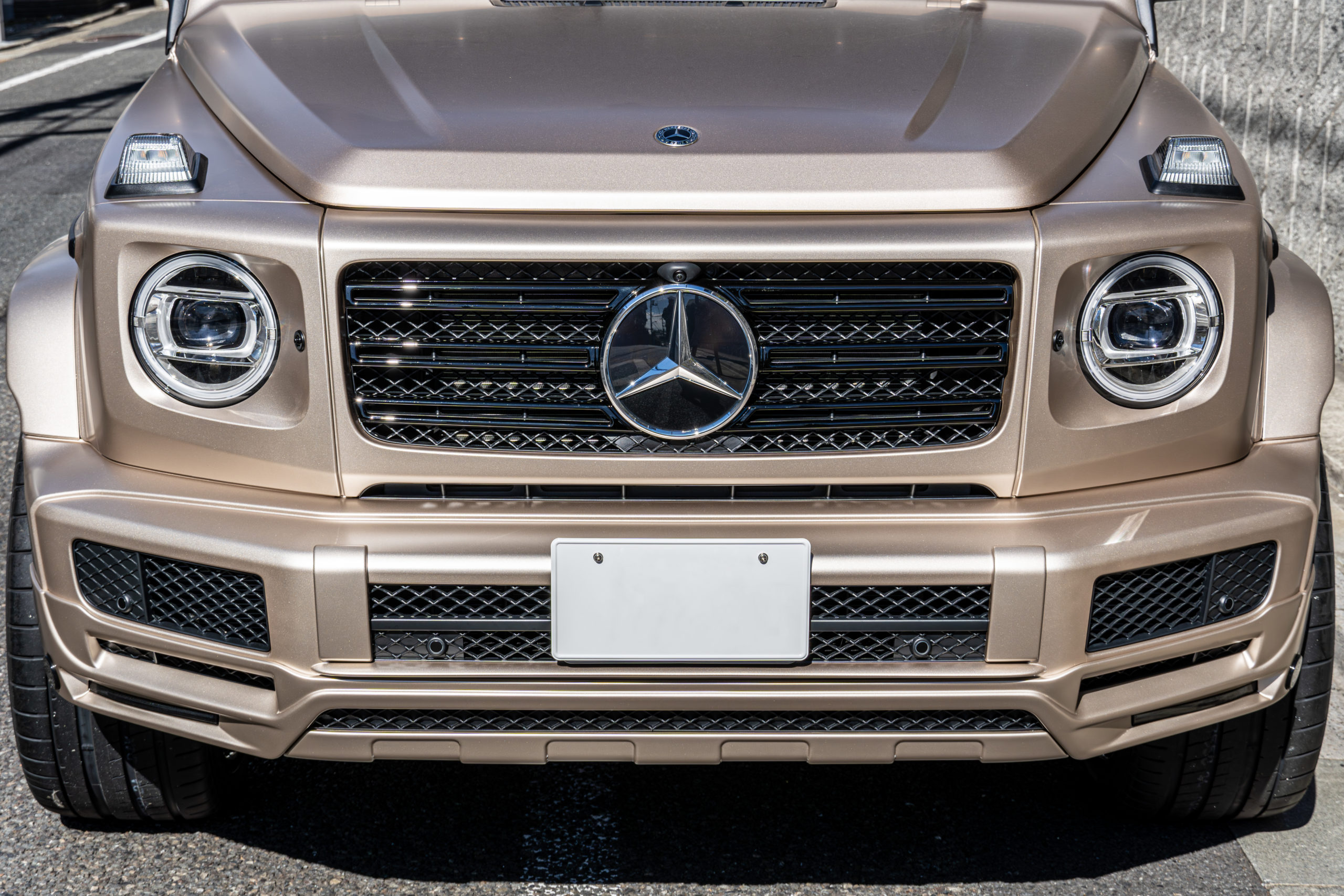 G400 カスタム　トラバーチンベージュ　BRABUS 1221 0880 ステルス　グリルペイント　電動ステップ