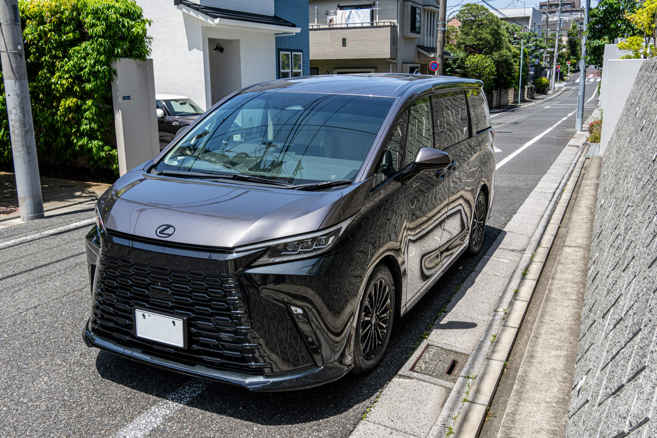 LEXU LM カスタム ブラックアウト ツートン ペイント REGNO RWF