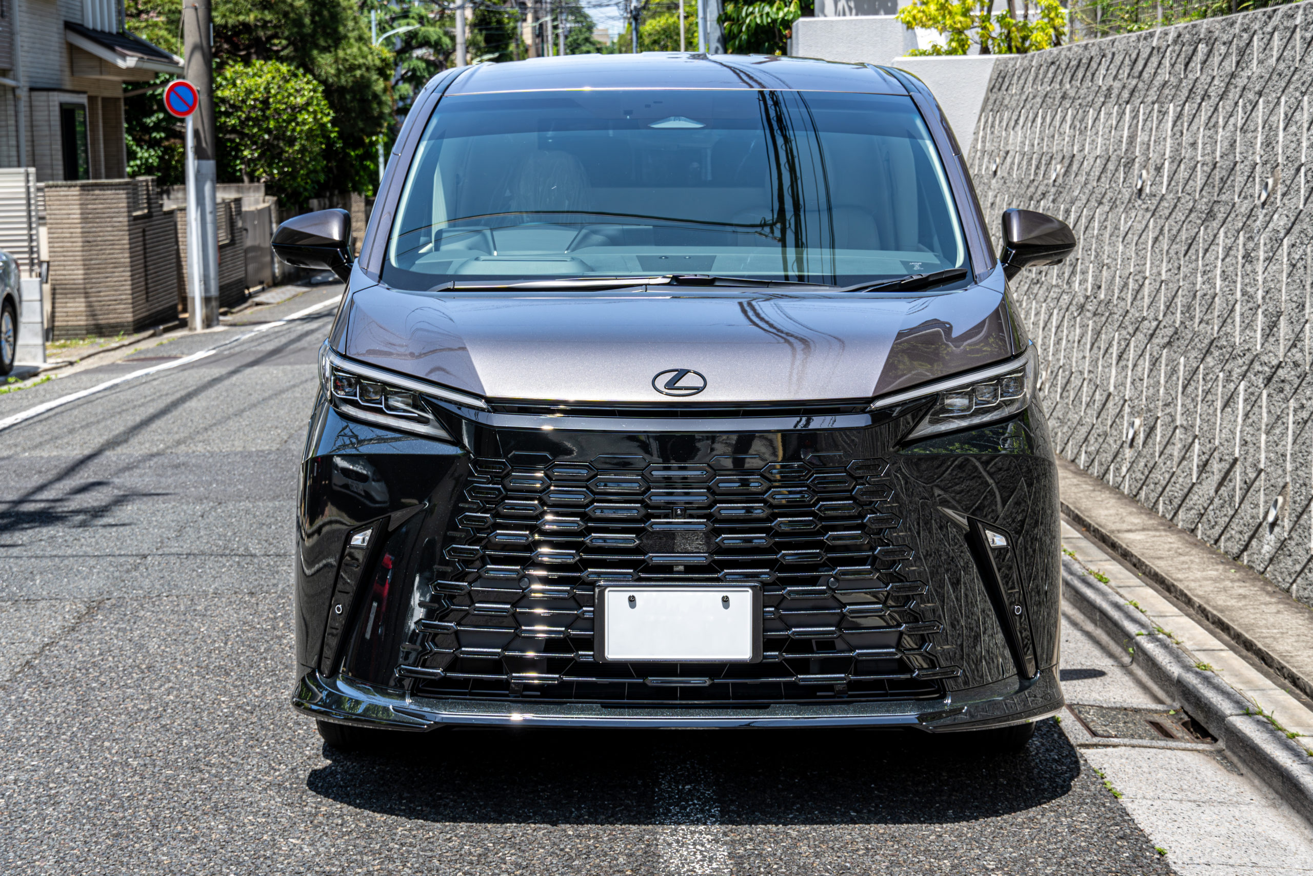 LEXU LM カスタム ブラックアウト ツートン ペイント REGNO RWF