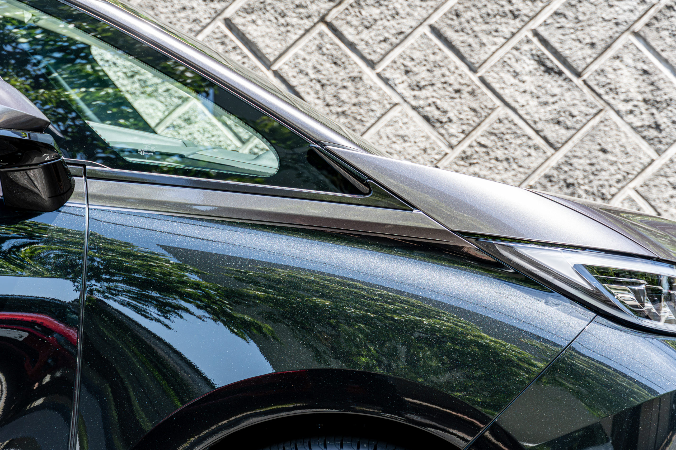 LEXU LM カスタム ブラックアウト ツートン ペイント REGNO RWF