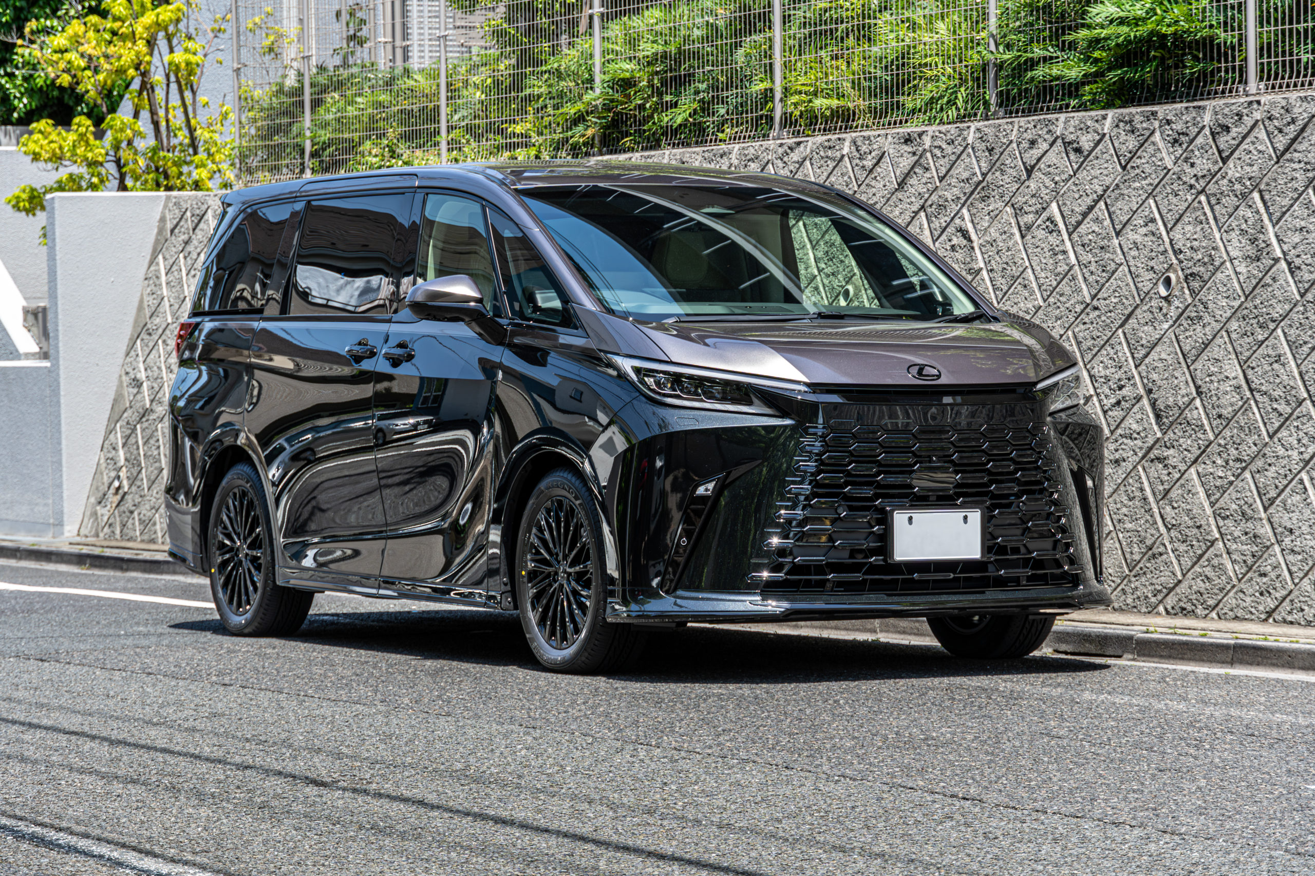 LEXU LM カスタム ブラックアウト ツートン ペイント REGNO RWF