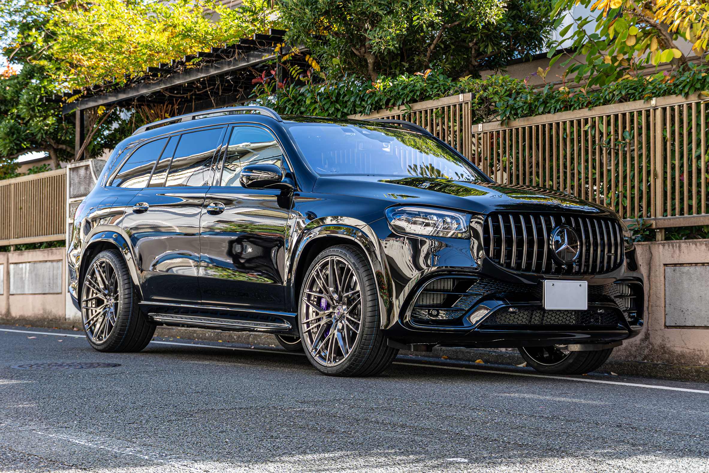 GLS63　カスタム X167 AL13 DB008 ポリッシュ　ローダウン　